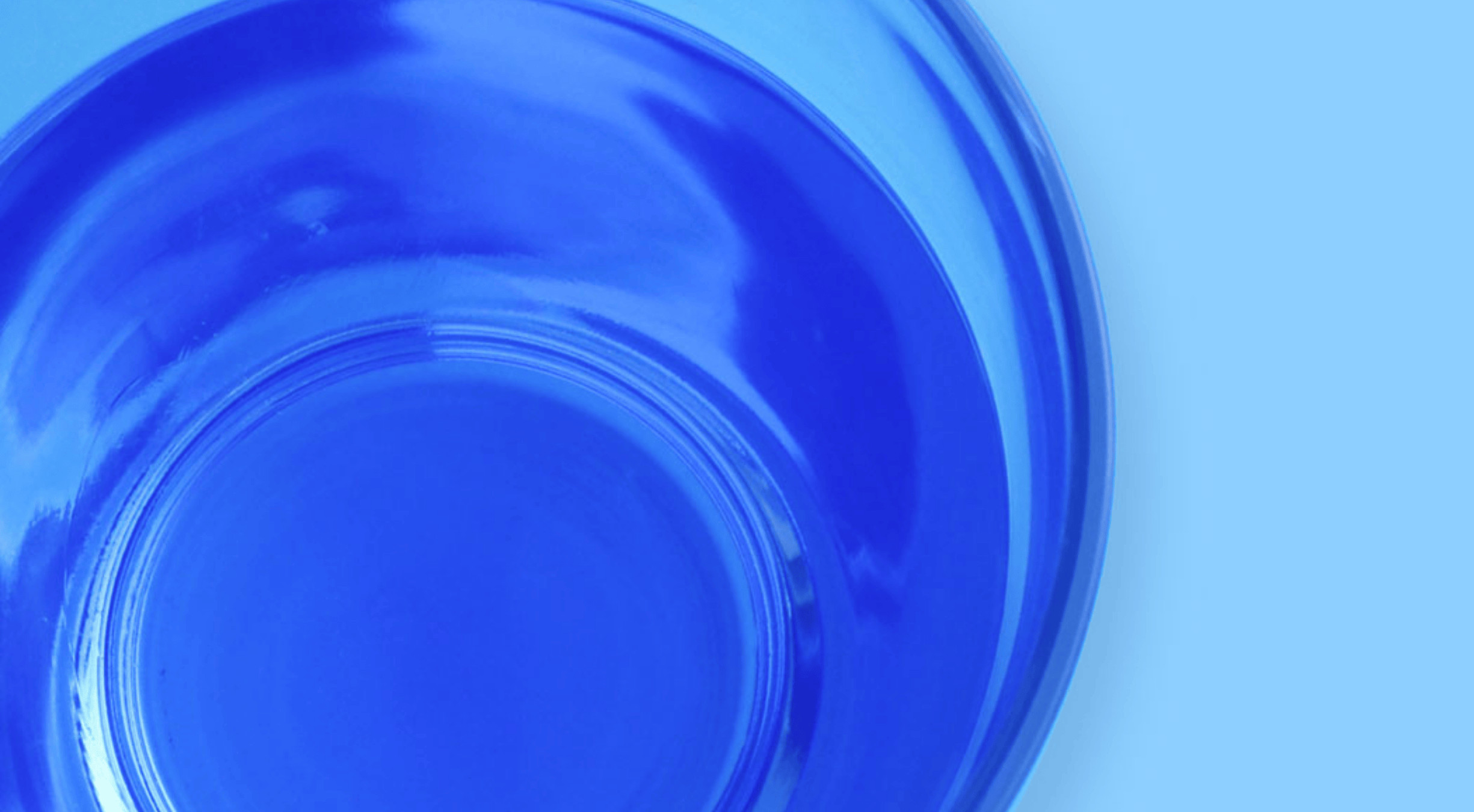 Galeriebild 2 - Bayrol Desalgin CLASSIC 6 l - 4008367411503