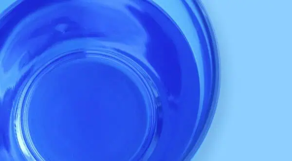 Galeriebild 2 - Bayrol Desalgin JET 6 l - 4008367415174