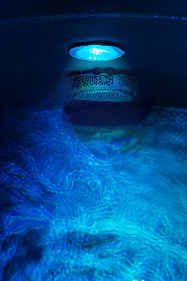 Galeriebild 10 - Softub Whirlpool POSEIDON X