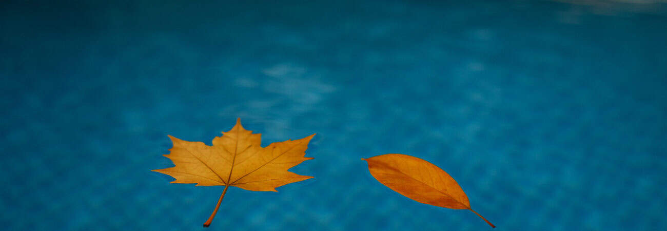 Beitragsbild    Pool richtig überwintern